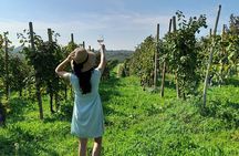 Half Day Prosecco Tour All Inclusive from Conegliano