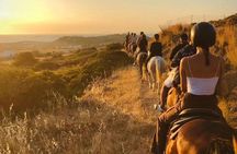 Sunrise Serenity: Horseback riding in Paros