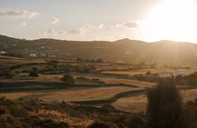 Sunrise Serenity: Horseback riding in Paros