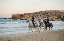 Sunrise Serenity: Horseback riding in Paros