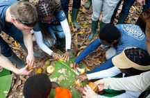  Ghana Chocolate Tasting Experience 