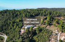 Evening of Wine and Scenic Views in Skiathos