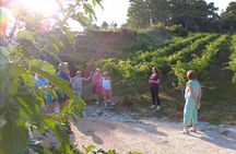 Evening of Wine and Scenic Views in Skiathos