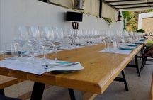 Evening of Wine and Scenic Views in Skiathos