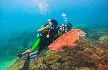 Phuket Scuba Diving Maiton Private Island Small Group or Snorkel