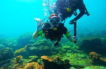 Phuket Scuba Diving Maiton Private Island Small Group or Snorkel