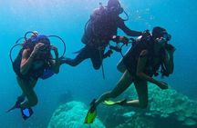 Phuket Scuba Diving Maiton Private Island Small Group or Snorkel