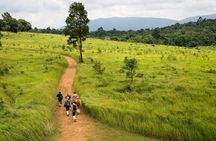 Khao Yai National Park Full Day Tour from Bangkok