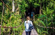 Khao Yai National Park Full Day Tour from Bangkok