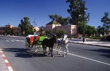 3-Hour Botanical Tour of Marrakech by Horse Carriage