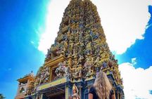 Discover Sigiriya Dambulla and Minneriya Park in Day Tour