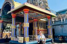 Full Day Trip to Sigiriya and Dambulla from Kandy