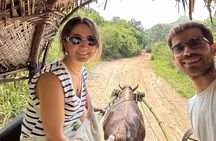 Full Day Trip to Sigiriya and Dambulla from Kandy