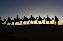 3 Days Private Morocco Desert Tour Fes to Marrakech Adventure