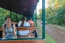 Beyond Iguassu Falls, visit Iguassu Falls with the best company 