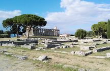 Paestum Temples and Mozzarella Experience