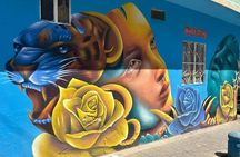Graffiti tour in Ciudad Bolívar