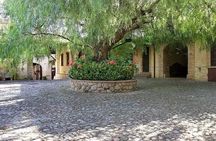 Cooking Class in a historic sicilian farmhouse