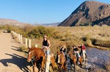 All-Inclusive Horseback Riding on the Beach in Mexico