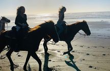 All-Inclusive Horseback Riding on the Beach in Mexico