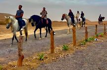 Marrakech Agafay Desert Quad Bike Camel Dinner Fire Show