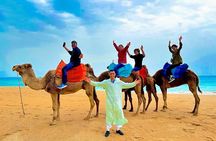 Luxury day in Tangier from Tarifa including ferry & camel ride ….