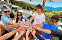 Waiheke Island Wine Tour with Tastings & Gourmet Beachfront Lunch