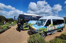 Auckland: Waiheke Island Scenic Tour 4 Vineyards, Local Guides