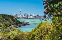 Auckland Scenic Tour With a Twist, Tasting NZ Wines + Food on bus