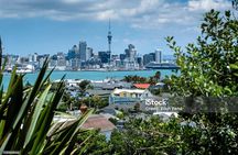 Auckland Scenic Tour With a Twist, Tasting NZ Wines + Food on bus
