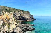 天际线 Private Dunedin City &Peninsula Scenery Day Tour ( up to 4 )