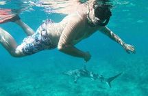 FAV 4 Adventure in Bimini Bahamas