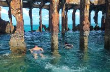 FAV 4 Adventure in Bimini Bahamas