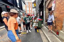 Brisbane Tiny Doors & Hidden Gems: Official Street Art Walk
