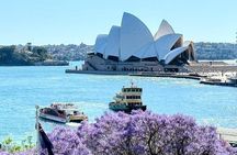 Sydney Private Tour - Pick up & Drop off