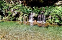 Visit of Reunion Island