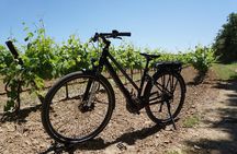 Vineyard of the Alpilles by bike