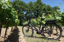 The Carrières de Lumières by e-bike