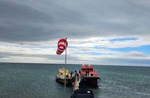 Magdalena Island Penguin Boat Tour and Marta Island