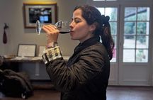 Visit to Pessac-Léognan: Vineyards, Lunch and Tastings included