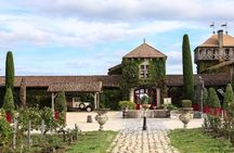 Visit to Pessac-Léognan: Vineyards, Lunch and Tastings included