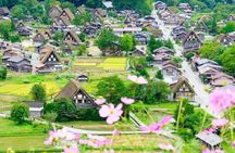 Nagoya Shirakawa go Village and Takayama One Day Tour
