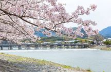 Kyoto Exclusive Private Tour with Vehicle & Professional Guide