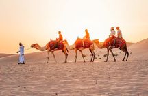 Red Desert Safari With Camel Ride & Sand Skiing