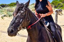 Skiathos Horseback Adventure 