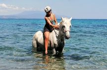 Skiathos Horseback Adventure 