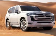 Red Desert Safari With Camel Ride & Sand Skiing