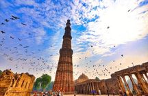 Private Old and New Delhi Tour with Entrances