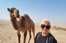 From Kuwait City: Premium Sightseeing Tour in 5 Hours