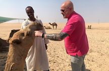 From Kuwait City: Premium Sightseeing Tour in 5 Hours